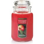 Yankee Candle Macintosh 623 g – Hledejceny.cz