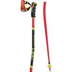 Leki WCR GS 3D 2021/22 – Zboží Dáma