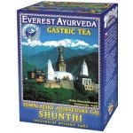 Everest Ayurveda Shunthi 100 g – Hledejceny.cz