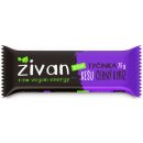 Živan RAW tyčinka 75 g