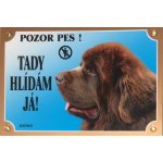 Dafiko Tabulka Novofundlanský pes hnědý – Hledejceny.cz