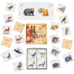 Lesní svět Zvukové pexeso Hlasy lesa – Zboží Dáma