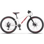 Beany Blaster XC 24 2024 – Zboží Dáma