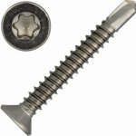 Šroub samovrtný DIN 7504P nerez A2 4,8x32 Torx – Hledejceny.cz