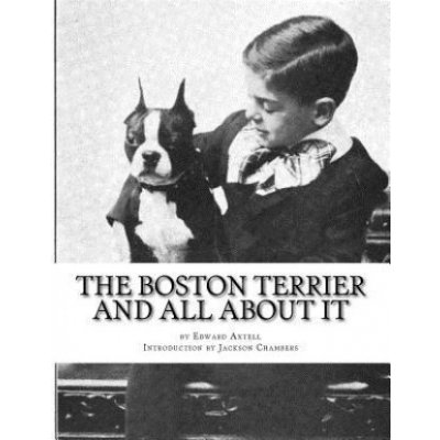 The Boston Terrier and All About It