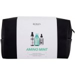 Redken Amino Mint Shampoo 300 ml – Zboží Dáma