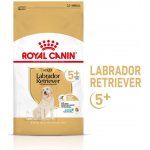 Royal Canin Breed Labrador Retriever Adult 5+ 12 kg – Hledejceny.cz