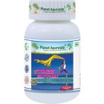 Planet Ayurveda Stress Support 60 kapslí – Hledejceny.cz