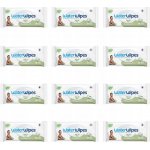 WATERWIPES Vlhčené ubrousky bez obsahu plastů Soapberry 60 ks – Zboží Dáma