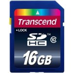 Transcend SDHC 16 GB Class 10 TS16GSDHC10 – Hledejceny.cz