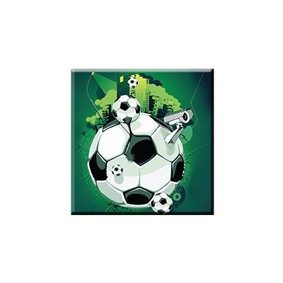 Obraz na plátně 30x30cm FOOTBALL BALL - vzor 57