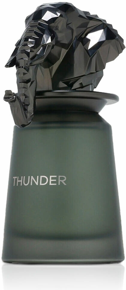 French Avenue Thunder parfémovaná voda pánská 100 ml