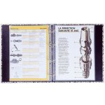 Laminovací fólie Eurosupplies A4, 80mic Plasticlas se závěsem do pořadače, lesklé 100ks – Sleviste.cz