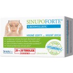 Sinupo Forte s Boswellií 20+20 tobolek – Hledejceny.cz