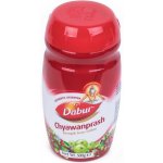 Dabur Chyawanprash 500 g – Hledejceny.cz