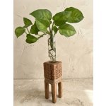 WoodenBotanery BotaneryLab™ ELEMENT UNO II: Designový dubový stojan – Hledejceny.cz