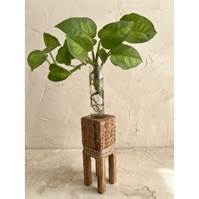 WoodenBotanery BotaneryLab™ ELEMENT UNO II: Designový dubový stojan – Hledejceny.cz