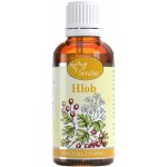 Serafin Hloh tinktura z pupenů 50 ml – Hledejceny.cz