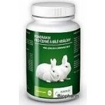 Univit Roboran H černé a bílé králíky 60 g – HobbyKompas.cz Univit Roboran H černé a bílé králíky 60 g – HobbyKompas.cz