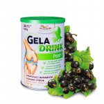 Orling Geladrink Fast nápoj černý rybíz 420 g – Hledejceny.cz