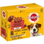 Pedigree Adult kuře hovězí krůta játra jehněčí ve šťávě 12 x 100 g – Sleviste.cz