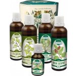 Naděje Mgr. Jarmila Podhorná Naděje Kúra K21 pro podporu kloubního a pohybového aparátu 225 ml – Hledejceny.cz