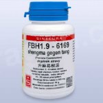 Sinecura FBH1.9 shengma gegen tang 60 tablet – Hledejceny.cz