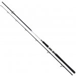 Daiwa Grandwave Cod Jigger 2,4 m 150-300 g 2 díly – Zboží Mobilmania