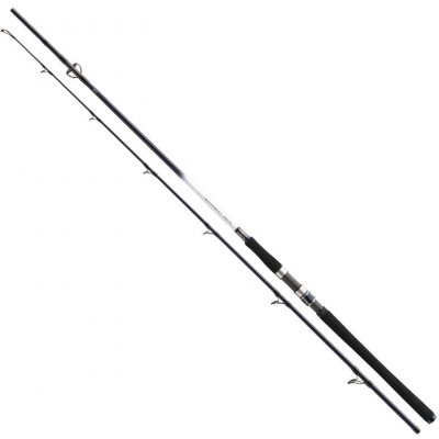 Daiwa Grandwave Cod Jigger 2,4 m 150-300 g 2 díly – Zboží Mobilmania