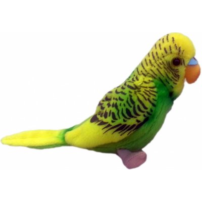 papoušek andulka Tyrkysová 11 cm – Zboží Mobilmania