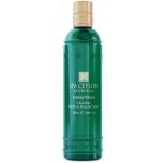 Spa Ceylon Zklidňující Mlha ForestVeda 100 ml – Hledejceny.cz