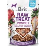 Brit Raw Treat Dog Immunity Lamb & Chicken 40 g – Zboží Dáma Brit Raw Treat Dog Immunity Lamb & Chicken 40 g – Zboží Dáma