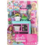 Barbie Květinářka – Zboží Dáma