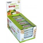 Weider Victory Endurance Nature's Energy Bar 24 x 60g – Zboží Dáma