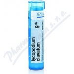 LYCOPODIUM CLAVATUM POR 5CH GRA 1X4G – Hledejceny.cz