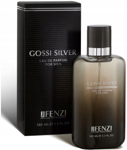 Gucci JFenzi Gossi Silver parfémovaná voda pánská 100 ml