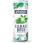 Amundsen + Soda bezinka 6% 0,25 l (plech) – Sleviste.cz