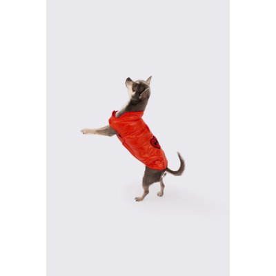 BONE Pet Store Červená šusťáková bundička STRAWBERRY – Zboží Mobilmania
