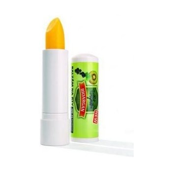 BioArgan Lip Balm balzám na rty s arganovým olejem SPF 15 (With Panthenol And Beta Karoten) 4,2 g