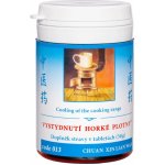 TCM Herbs Vystydnutí horké plotny 100 tablet 30 g – Hledejceny.cz