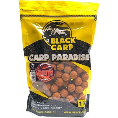 BLACK CARP Activ boilies Mango 5 kg 20 mm – Hledejceny.cz