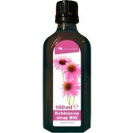 Echinacea sirup BIO 100 ml Zdravý den – Hledejceny.cz