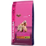 Eukanuba Adult Medium Light & Weight Control 3 kg – Hledejceny.cz