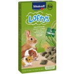 Vitakraft Rodent Lofty´s all rodent 100 g – Sleviste.cz