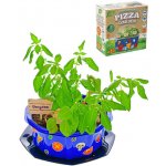 Mikro trading Grow&Decorate Vypěstuj si bylinky na pizzu 3 druhy v PVC květináči – Hledejceny.cz