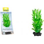 Tetra Hygrophila S 15 cm – Zboží Dáma