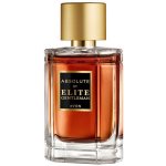 Avon Elite Gentleman Absolute toaletní voda pánská 50 ml – Hledejceny.cz