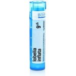 LOBELIA INFLATA POR 9CH GRA 1X4G – Hledejceny.cz