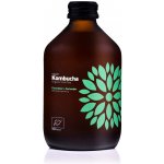 Natu Kombucha bio probiotický nápoj Cucumber & Coriander 315 ml – Zboží Mobilmania