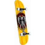 Powell Peralta Vallely Elephant – Zboží Mobilmania